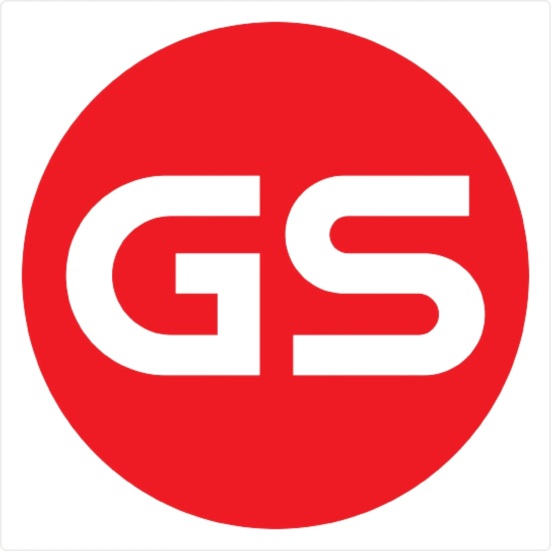 GS Battery